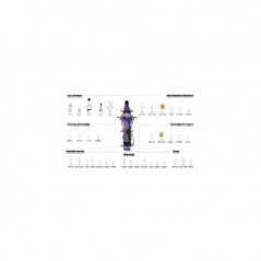 CARPRISS Assorted car light bulbs case H1 12V 79780205