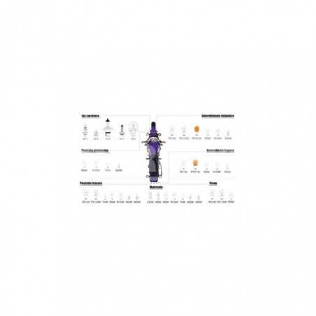 CARPRISS bulb lamp for car R2 FEU 12V 45/40W R2 FEU 12V 45/40W (10UD) 79780225