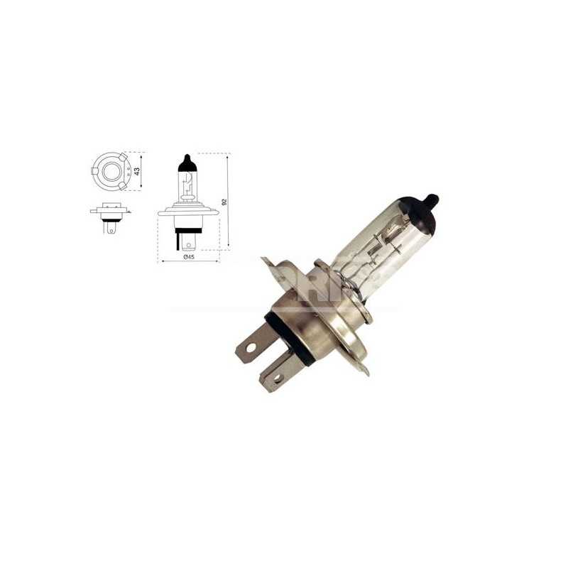 CARPRISS Lámpara bombilla para coche H4 12V 60/55W (10UD) 79780235
