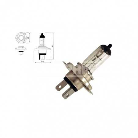 CARPRISS bulb lamp for car H4 12V 60/55W H4 12V 60/55W (10UD) 79780235