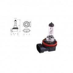 CARPRISS Lámpara bombilla para coche H11 12V 55W (10UD) 79780243