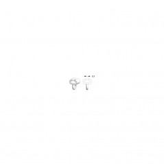 LAMPA Bag of 25 truck curtain hooks G-9 LAM97114