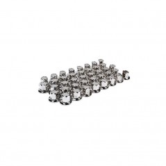 LAMPA Kit 40 pernos embellecedores acero inoxidable brillo para rueda 32 MM LAM98031