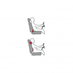 LAMPA Cojin ergonomico para la espalda y las cervicales LAM72393
