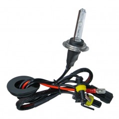 LAMPA Lámpara bombilla homologada H7 HID XENON 12/24V E13 LAM58289
