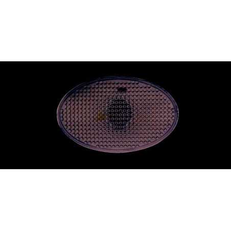 IPARLUX Piloto luz intermitente lateral delantero blanco con integrado - Compatible ambos lados Marca 15311700