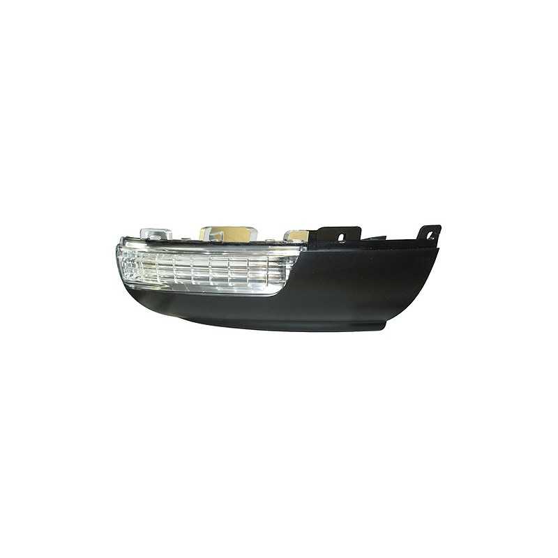 IPARLUX Right mirror indicator 15287602