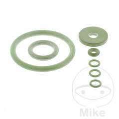 Kit juntas pulverizador VITON-DICHTUNG 555.20.91