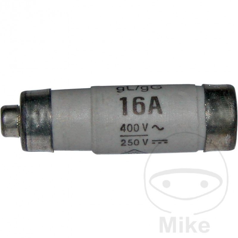 10-pack fuses 16A 149.00.19
