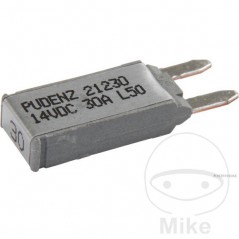 auto fuse 30A 149.03.74