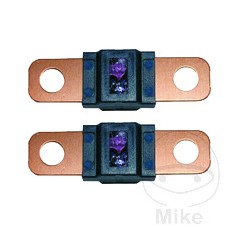 Flat fuse set 100A 1490689 149.22.30