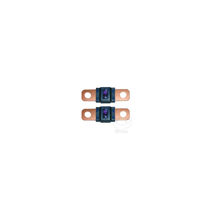Flat fuse set 100A 1490689 149.22.30