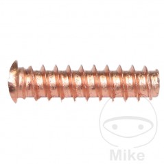 Set of 100 threaded rivets 5 X 18 659.00.68