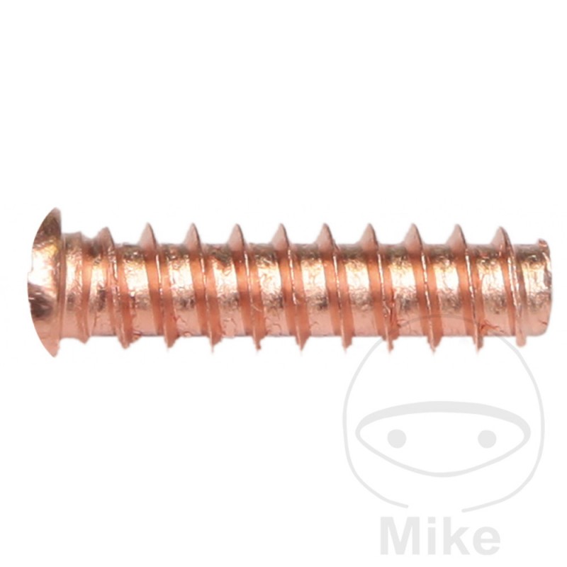 Set of 100 threaded rivets 5 X 18 659.00.68