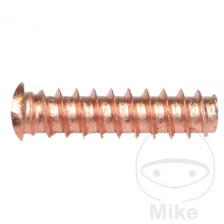 Set of 100 threaded rivets 5 X 18 659.00.68