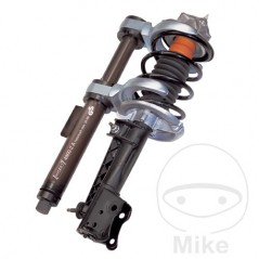 Pack 5 Juego de tensores resorte MAX 309MM 617.00.21