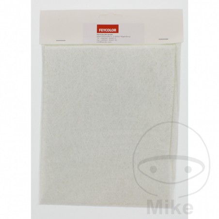 FEYCOLOR Fibra de vidrio relleno agujeros y grietas 0.5QM 597.00.78