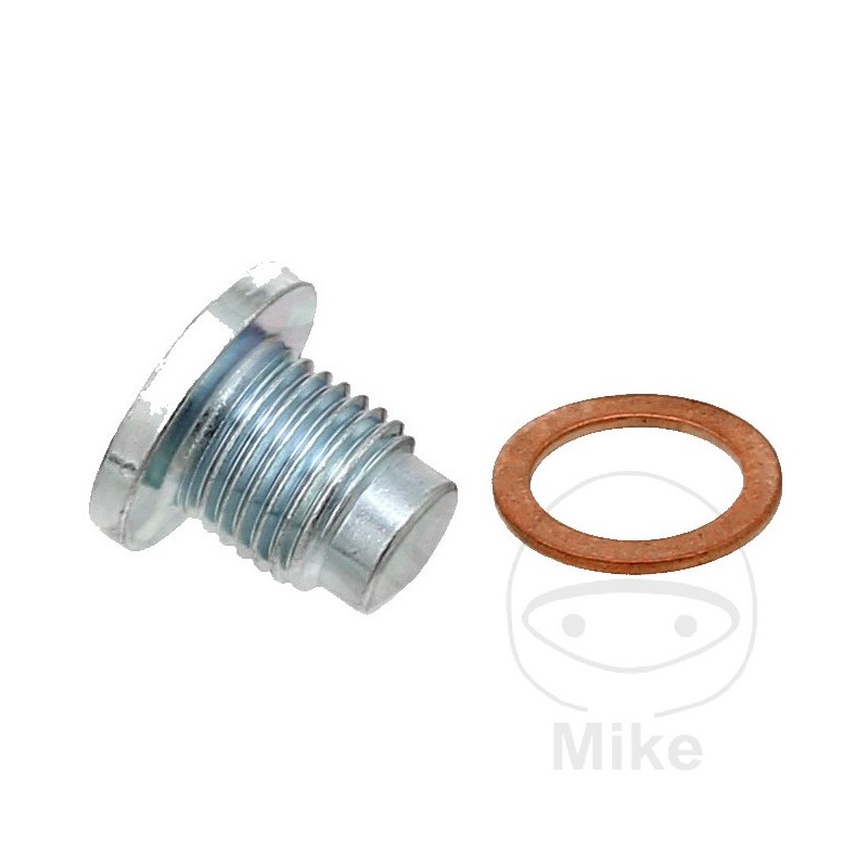ELRING Screw cap with gasket 355.14.81