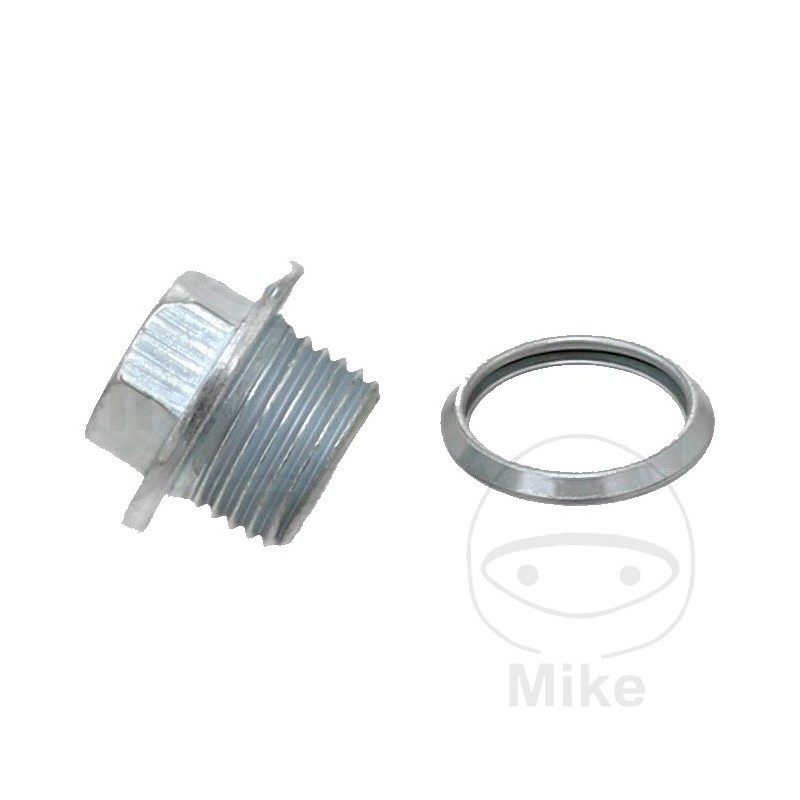 ELRING Screw cap with gasket 355.14.82