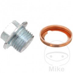 ELRING Screw cap with gasket 355.14.83