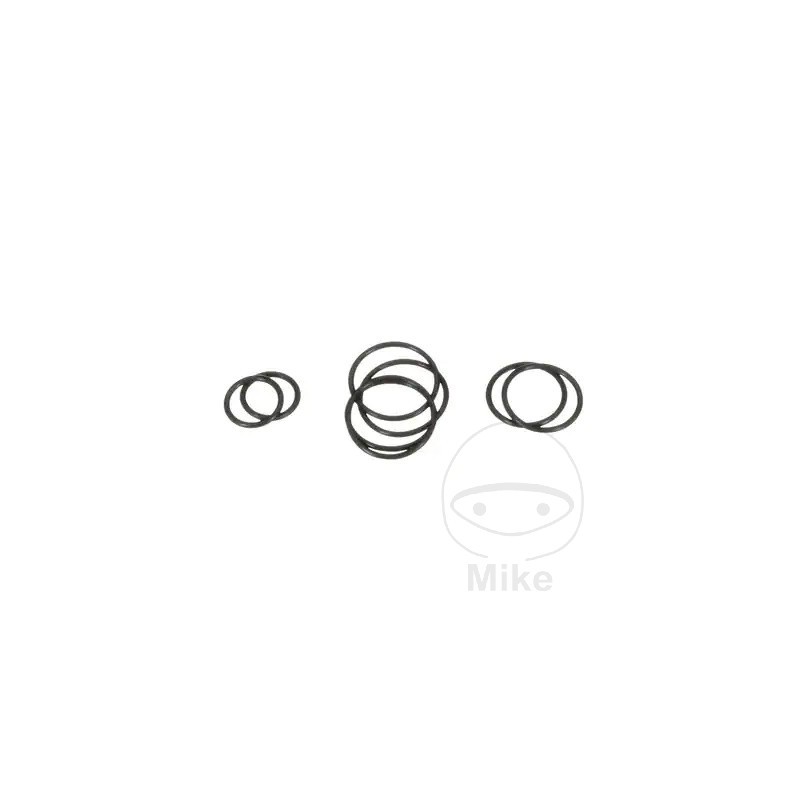 Gasket set for compressed air paint gun 564.04.03