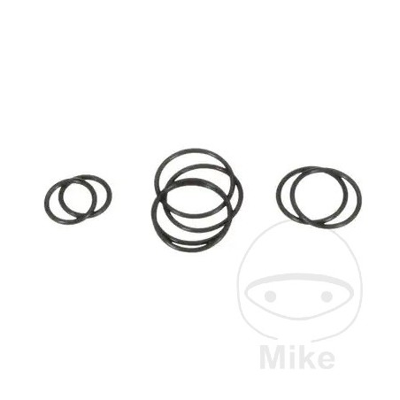 Gasket set for compressed air paint gun 564.04.03