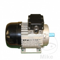 BUTLER Motor de plataforma elevadora 3909000 677.09.11
