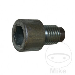 NUSSBAUM Screw for tail lift cylinder 652.30.05