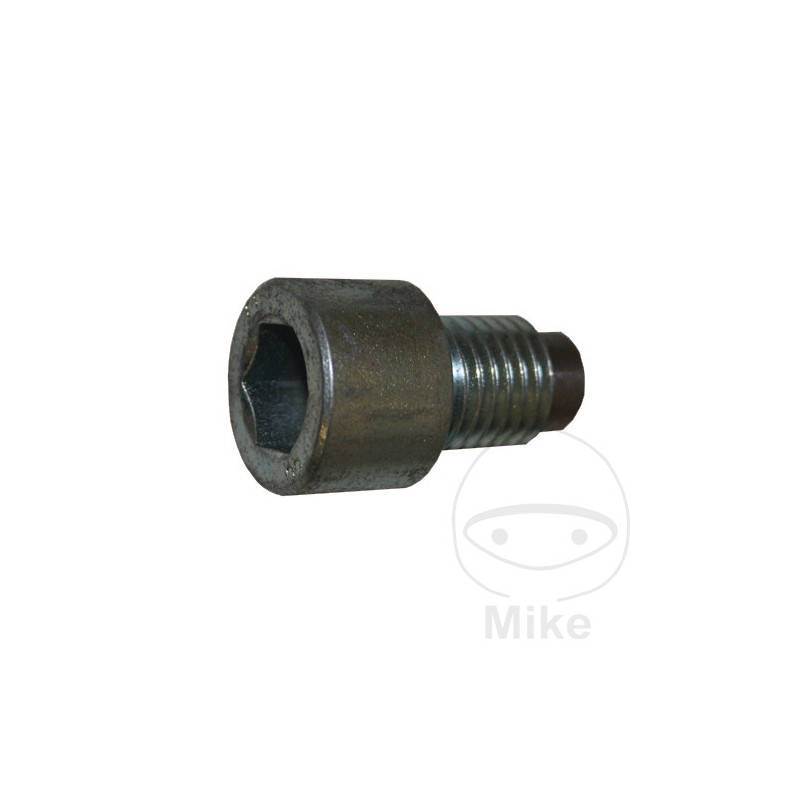 NUSSBAUM Screw for tail lift cylinder 652.30.05