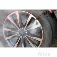 TORNADOR Máquina limpiador a vapor 230V 2200+1000W 685.03.93