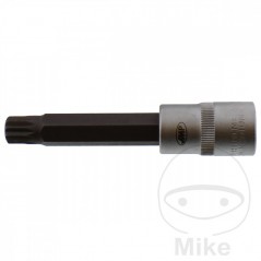 JMP Vaso de punta 100 MM MULTIDENT 1/2 M12 605.01.17