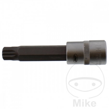 JMP Vaso de punta 100 MM MULTIDENT 1/2 M14 605.01.18