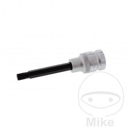 JMP tip glass 100 MM MULTIDENT 1/2 M8 605.02.95