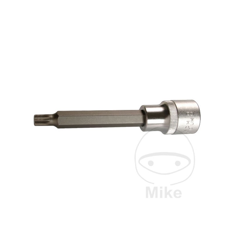 CONDOR Vaso de punta 100 MM MULTIDENT 1/2 M16 605.34.17