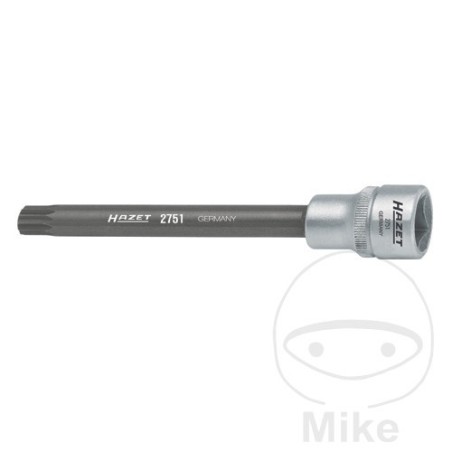 bitmuffe xzn m10