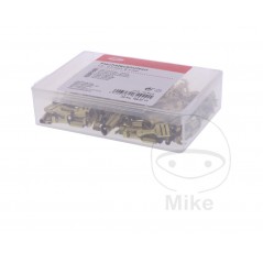 JMP Pack 100 conectores de cable hembra enchufe plano 1.0-2.5 6.3 MM ALTN: 1580833 158.07.77