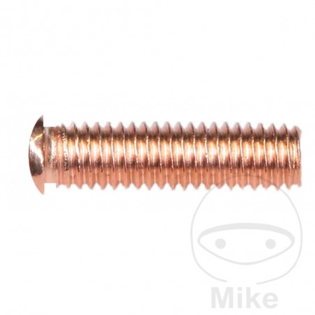 Pack of 100 threaded pins M5 X 18 659.00.66