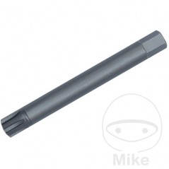CONDOR Punta de destornillador para tornillos RIBE M13 10 MM 75 632.40.99