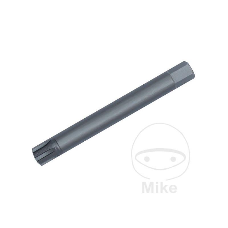 CONDOR Punta de destornillador para tornillos RIBE M13 10 MM 75 632.40.99