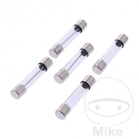 JMP Pack 5 glass fuses 10A USA 1490170
