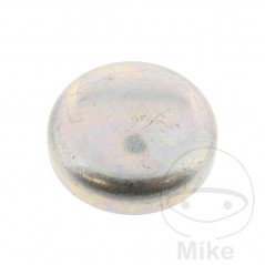 FEBI BILSTEIN Tapón antihielo para motor 24 MM 3823887