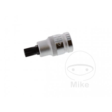 JMP Punta de destornillador MULTIDENT 1/2 M10 55 MM 605.02.89