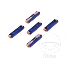 JMP Pack of 5 ceramic fuses 25A 1490162