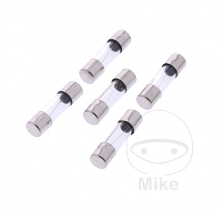 JMP Pack 5 glass fuses 10A RADIO 1490168
