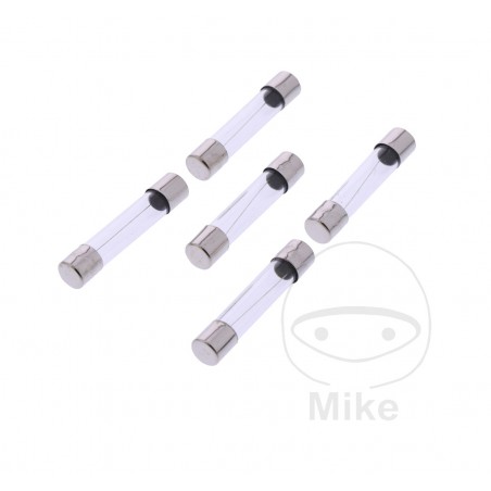 JMP Pack 5 glass fuses 5A USA 1490169