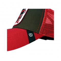 WINTRUCKER truck cap SCANIA PHOENIX 09111