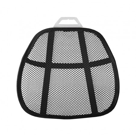 FASEBA Lumbar support BS-01 14229