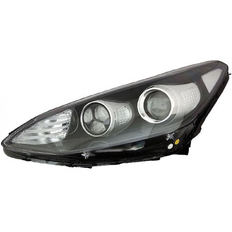 IPARLUX Left front light pilot with daytime running LED 11901021
