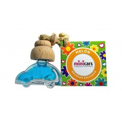 FASEBA Ambientador en cochecito 6 ML MINICARS 02170EVAR