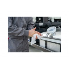LAMPA Hand cleaning wipes 24*22CM (24 UNIDADES) LAM38417